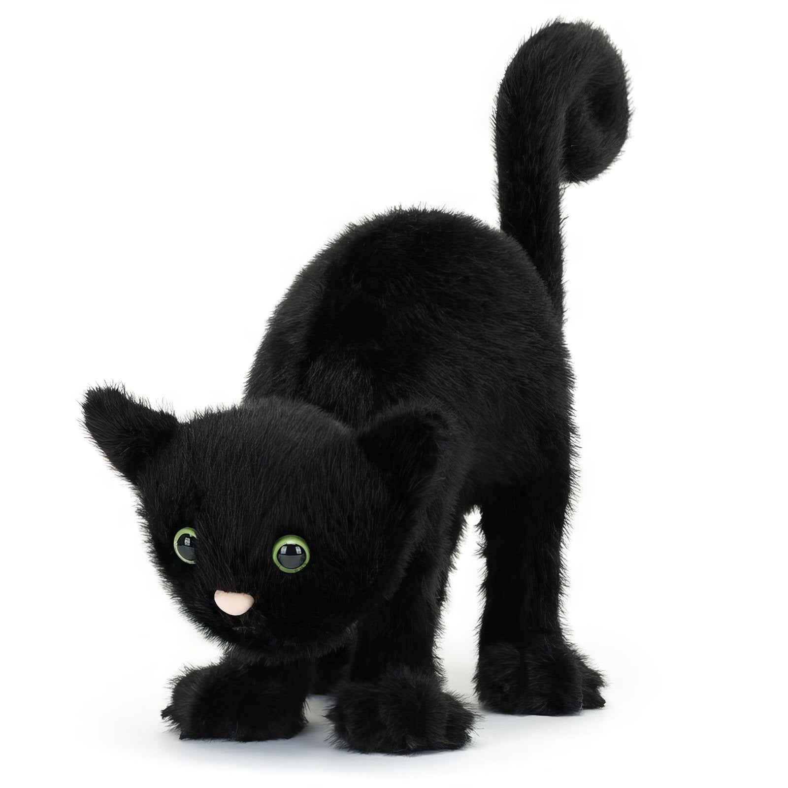 Spookipaws Cat Plush Toy