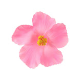 Hibiscus Tropical Hair Flower Clip